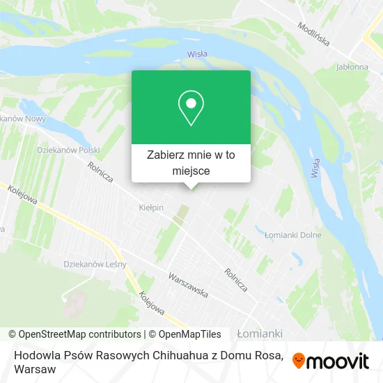 Mapa Hodowla Psów Rasowych Chihuahua z Domu Rosa