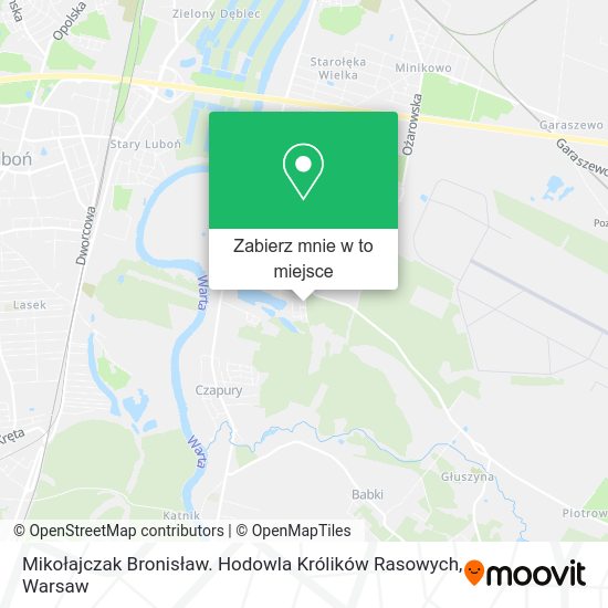 Mapa Mikołajczak Bronisław. Hodowla Królików Rasowych