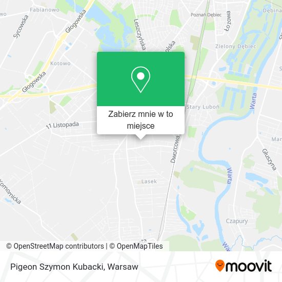 Mapa Pigeon Szymon Kubacki