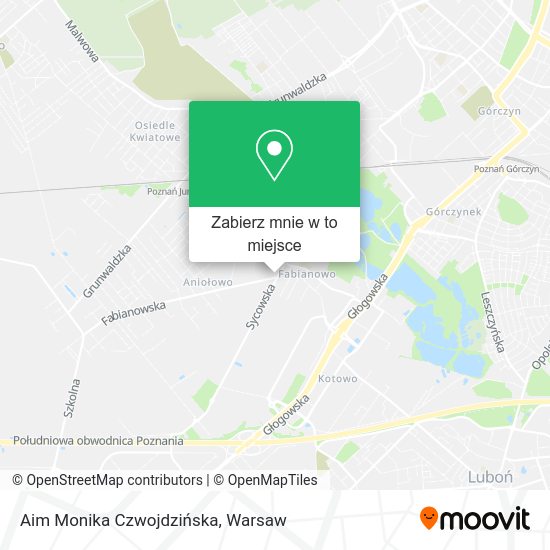 Mapa Aim Monika Czwojdzińska