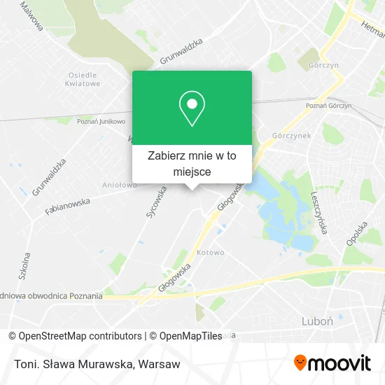 Mapa Toni. Sława Murawska