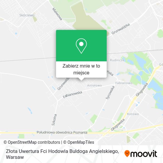 Mapa Złota Uwertura Fci Hodowla Buldoga Angielskiego