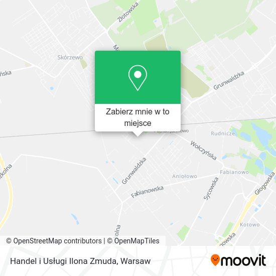 Mapa Handel i Usługi Ilona Zmuda