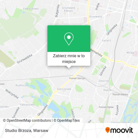 Mapa Studio Brzoza