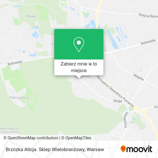 Mapa Brzózka Alicja. Sklep Wielobranżowy