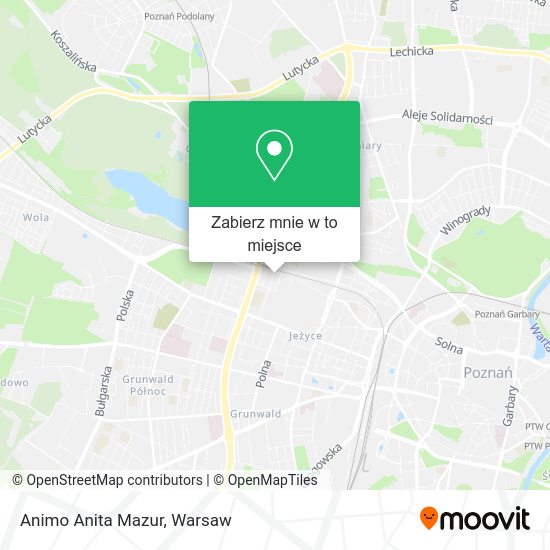 Mapa Animo Anita Mazur