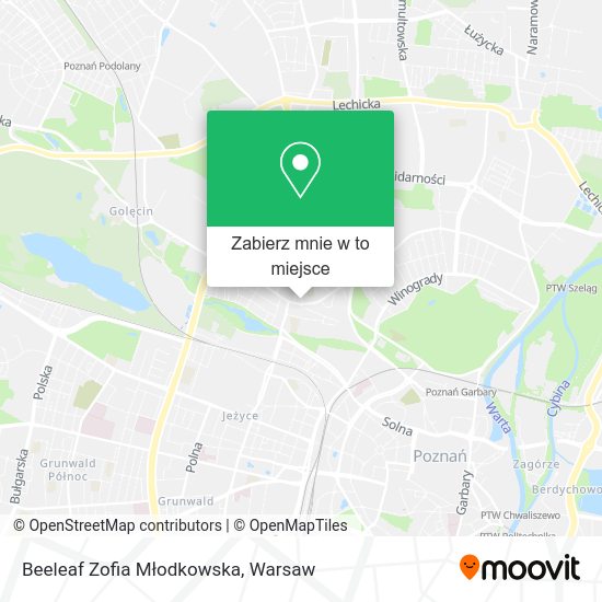 Mapa Beeleaf Zofia Młodkowska