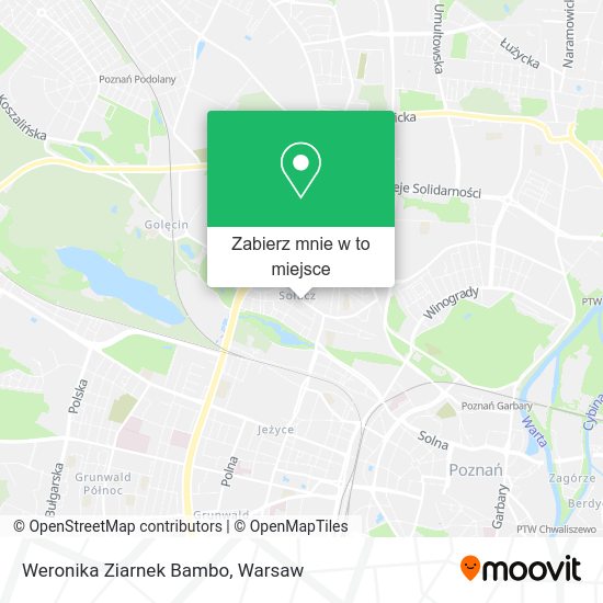 Mapa Weronika Ziarnek Bambo