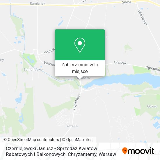 Mapa Czerniejewski Janusz - Sprzedaż Kwiatów Rabatowych i Balkonowych, Chryzantemy