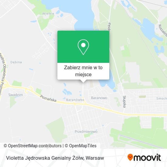 Mapa Violetta Jędrowska Genialny Żółw