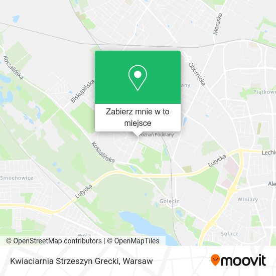 Mapa Kwiaciarnia Strzeszyn Grecki