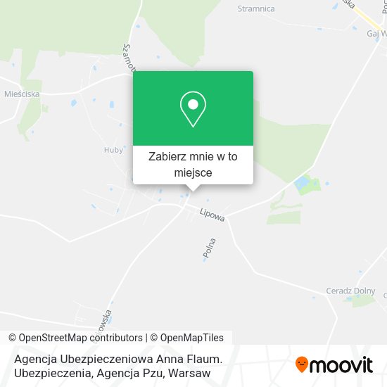 Mapa Agencja Ubezpieczeniowa Anna Flaum. Ubezpieczenia, Agencja Pzu