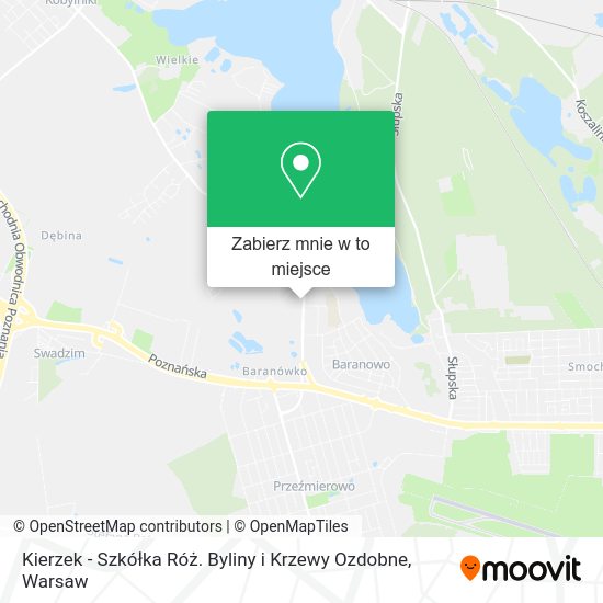 Mapa Kierzek - Szkółka Róż. Byliny i Krzewy Ozdobne