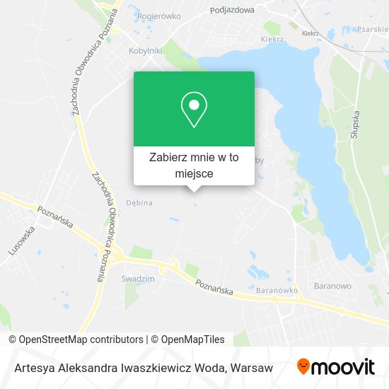 Mapa Artesya Aleksandra Iwaszkiewicz Woda