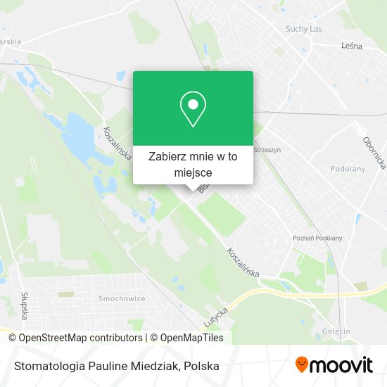 Mapa Stomatologia Pauline Miedziak