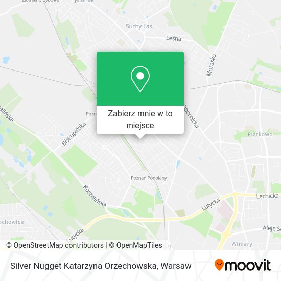 Mapa Silver Nugget Katarzyna Orzechowska