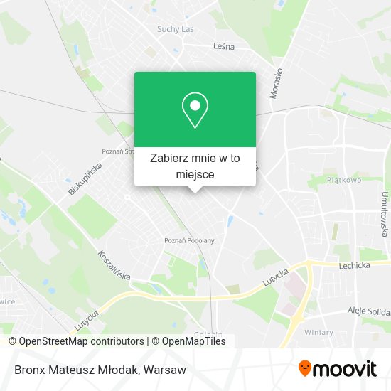 Mapa Bronx Mateusz Młodak