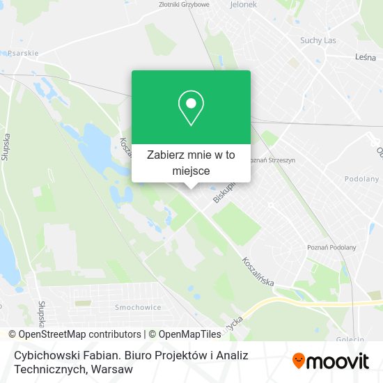 Mapa Cybichowski Fabian. Biuro Projektów i Analiz Technicznych