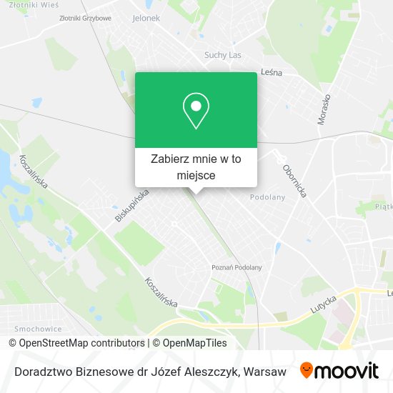 Mapa Doradztwo Biznesowe dr Józef Aleszczyk