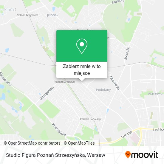 Mapa Studio Figura Poznań Strzeszyńska