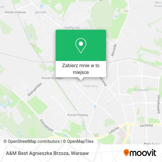 Mapa A&M Best Agnieszka Brzoza