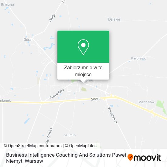 Mapa Business Intelligence Coaching And Solutions Paweł Niemyt