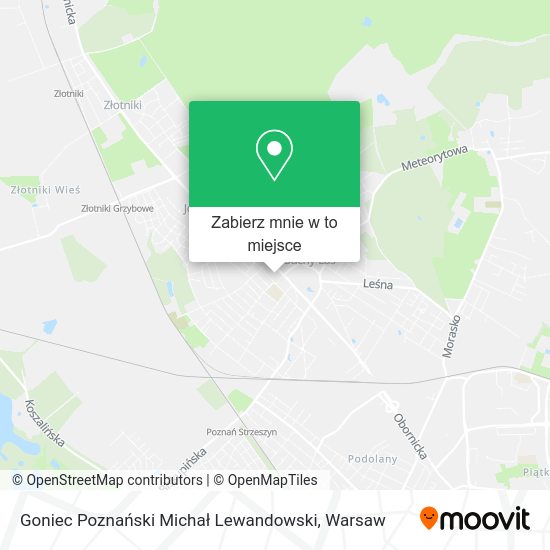 Mapa Goniec Poznański Michał Lewandowski