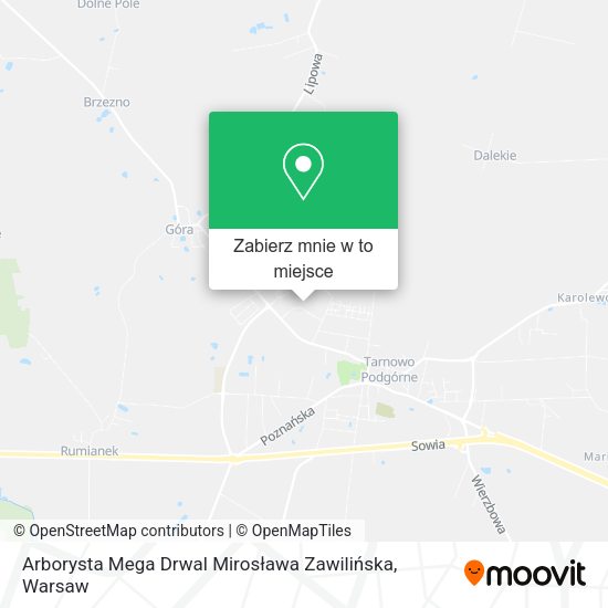 Mapa Arborysta Mega Drwal Mirosława Zawilińska