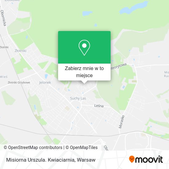 Mapa Misiorna Urszula. Kwiaciarnia