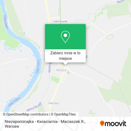 Mapa Niezapominajka - Kwiaciarnia - Maciaszek R.