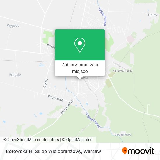 Mapa Borowska H. Sklep Wielobranżowy