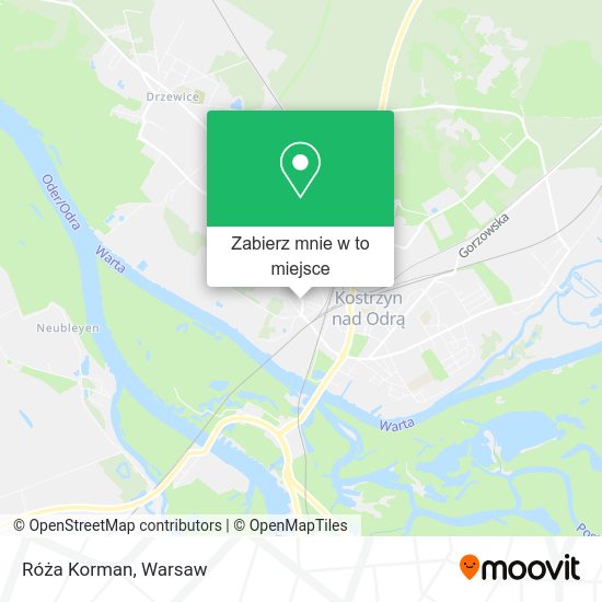 Mapa Róża Korman