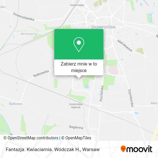 Mapa Fantazja. Kwiaciarnia. Wódczak H.