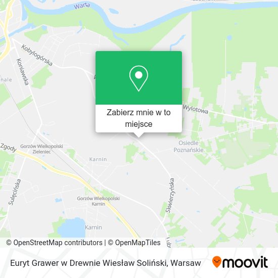 Mapa Euryt Grawer w Drewnie Wiesław Soliński