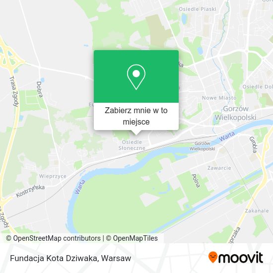 Mapa Fundacja Kota Dziwaka