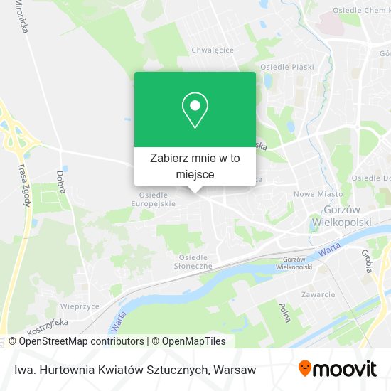 Mapa Iwa. Hurtownia Kwiatów Sztucznych