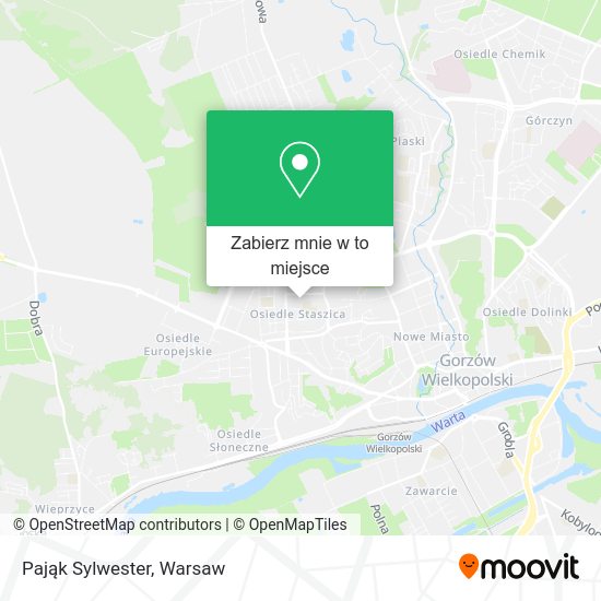 Mapa Pająk Sylwester