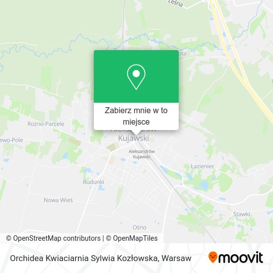 Mapa Orchidea Kwiaciarnia Sylwia Kozłowska