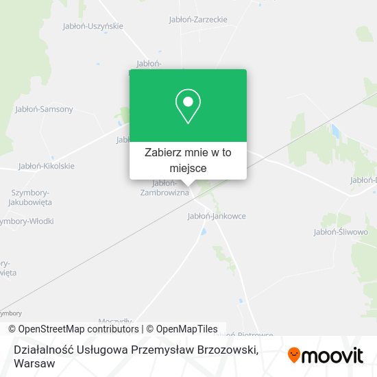 Mapa Działalność Usługowa Przemysław Brzozowski