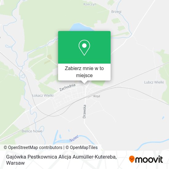 Mapa Gajówka Pestkownica Alicja Aumüller-Kutereba