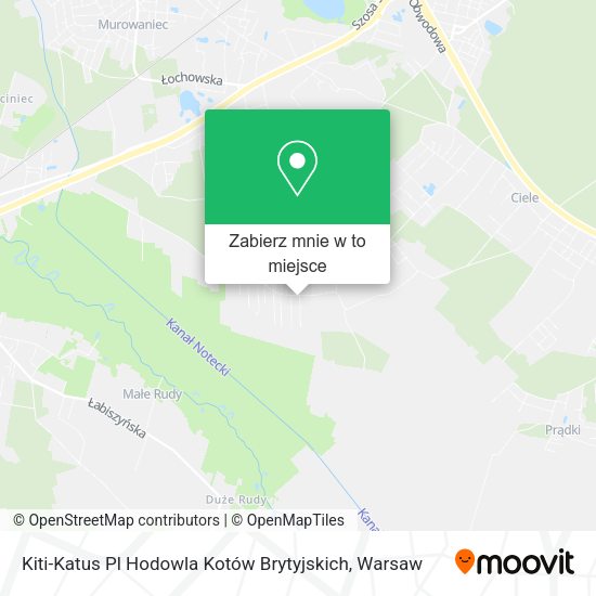 Mapa Kiti-Katus Pl Hodowla Kotów Brytyjskich