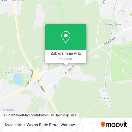 Mapa Kwiaciarnie Wrzos Białe Błota