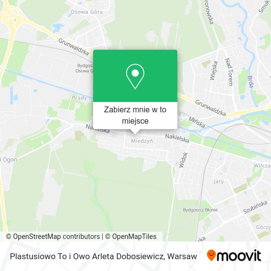 Mapa Plastusiowo To i Owo Arleta Dobosiewicz