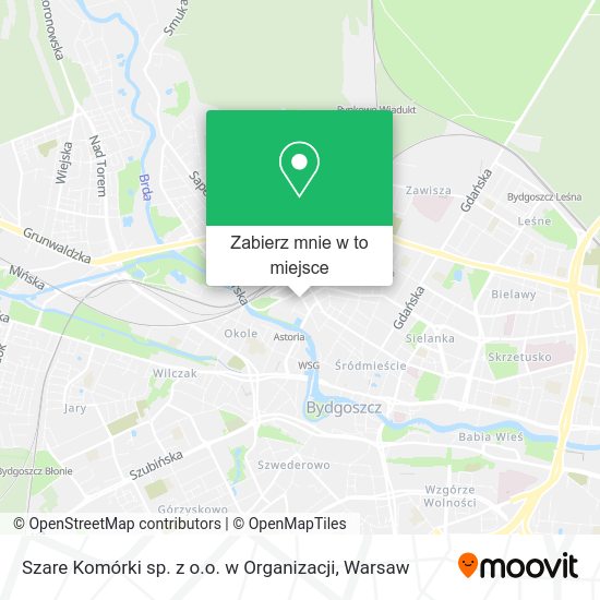 Mapa Szare Komórki sp. z o.o. w Organizacji