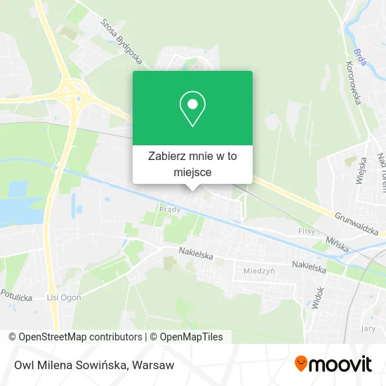 Mapa Owl Milena Sowińska