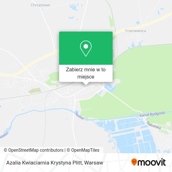 Mapa Azalia Kwiaciarnia Krystyna Plitt