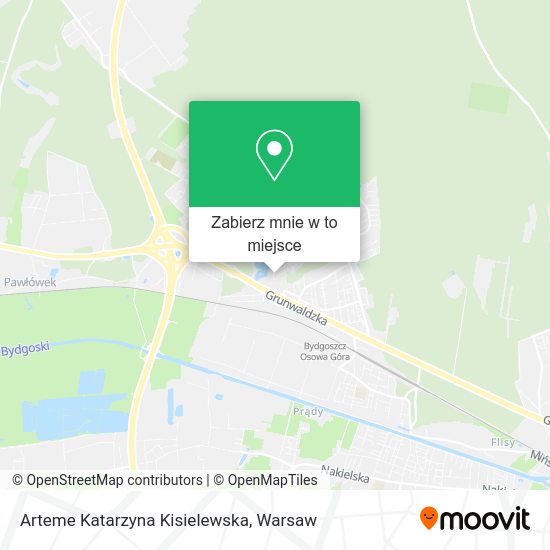 Mapa Arteme Katarzyna Kisielewska