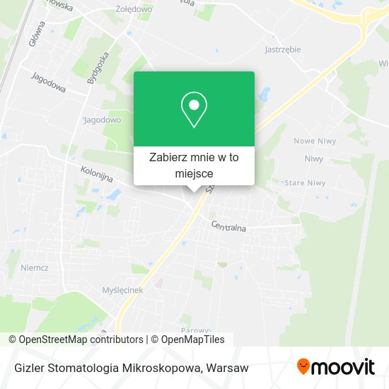 Mapa Gizler Stomatologia Mikroskopowa