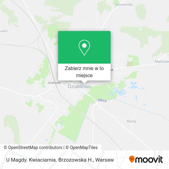 Mapa U Magdy. Kwiaciarnia. Brzozowska H.