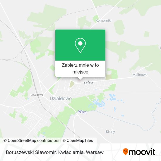 Mapa Boruszewski Sławomir. Kwiaciarnia